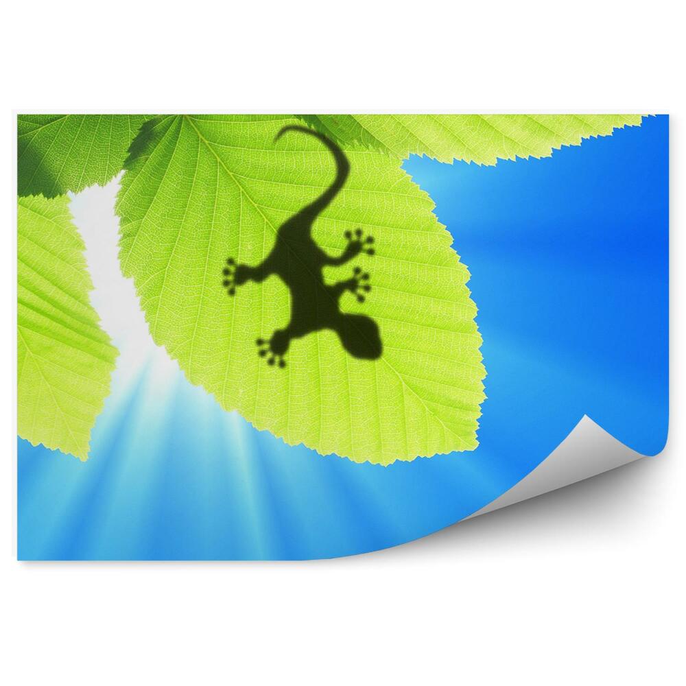 Fototapeta na ścianę Gekon na liściach zielonych perspektywa niebo