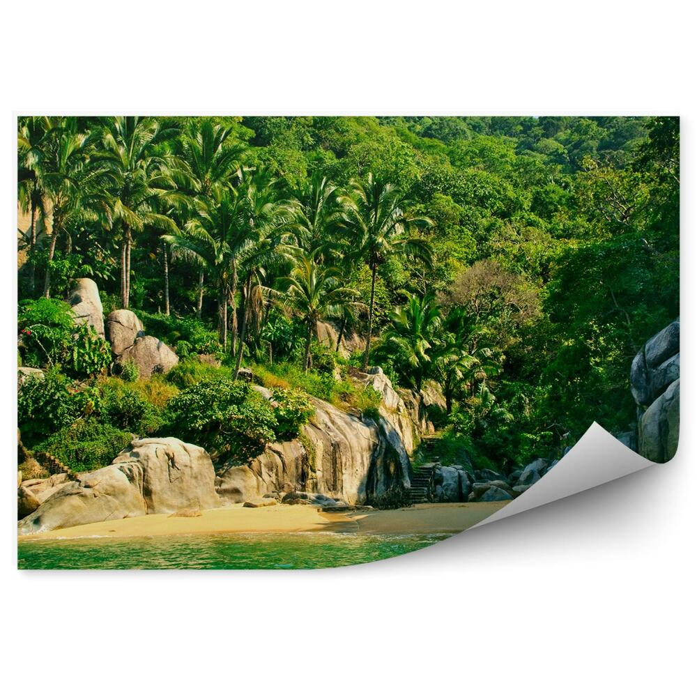 Okleina ścienna Plaża meksyk natura palmy skały schody drewniane