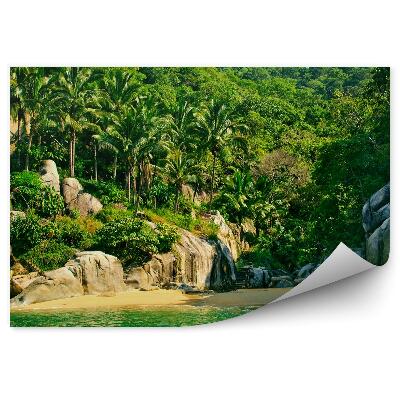 Okleina ścienna Plaża meksyk natura palmy skały schody drewniane