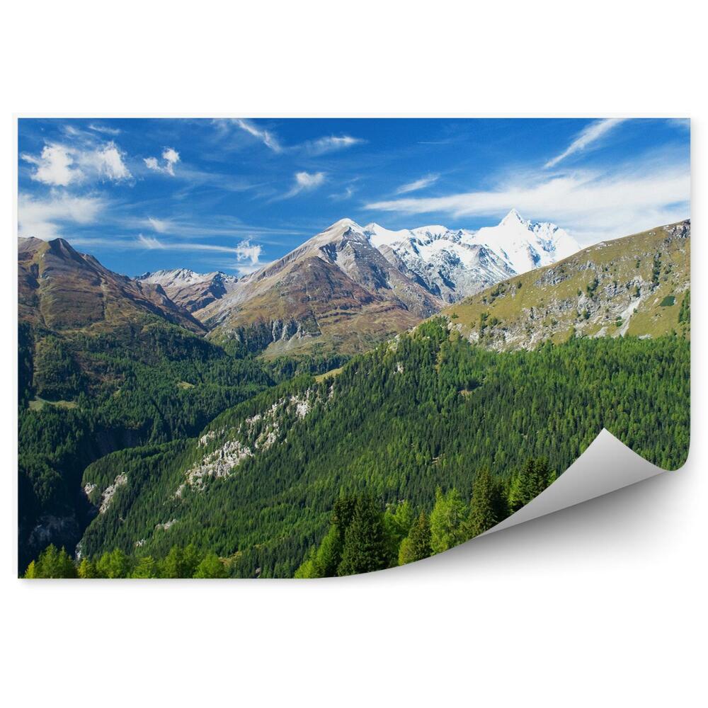 Okleina na ścianę Piękny widok austryjackie alpy góry drzewa iglaste śnieg niebo chmury