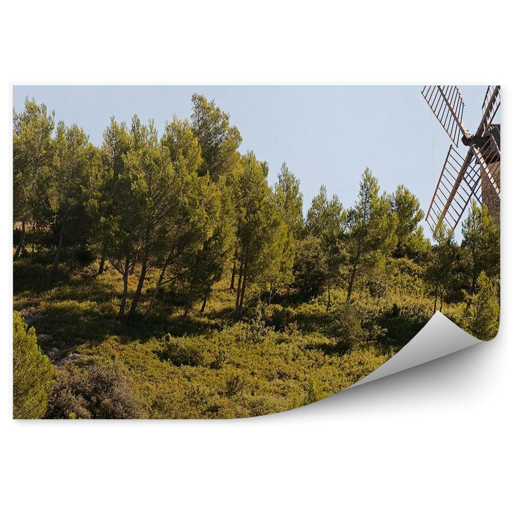 Fototapeta na ścianę wiatrak las drzewa niebo Prowansja Francja