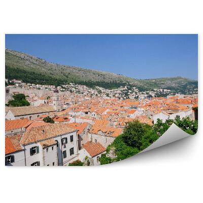 Fototapeta Przyroda zieleń domy architektura