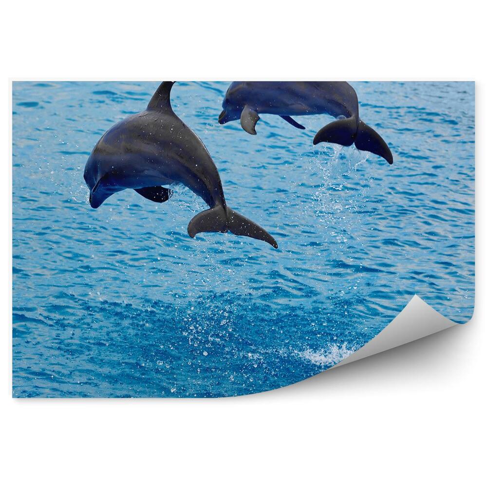 Okleina ścienna Skoki delfinów