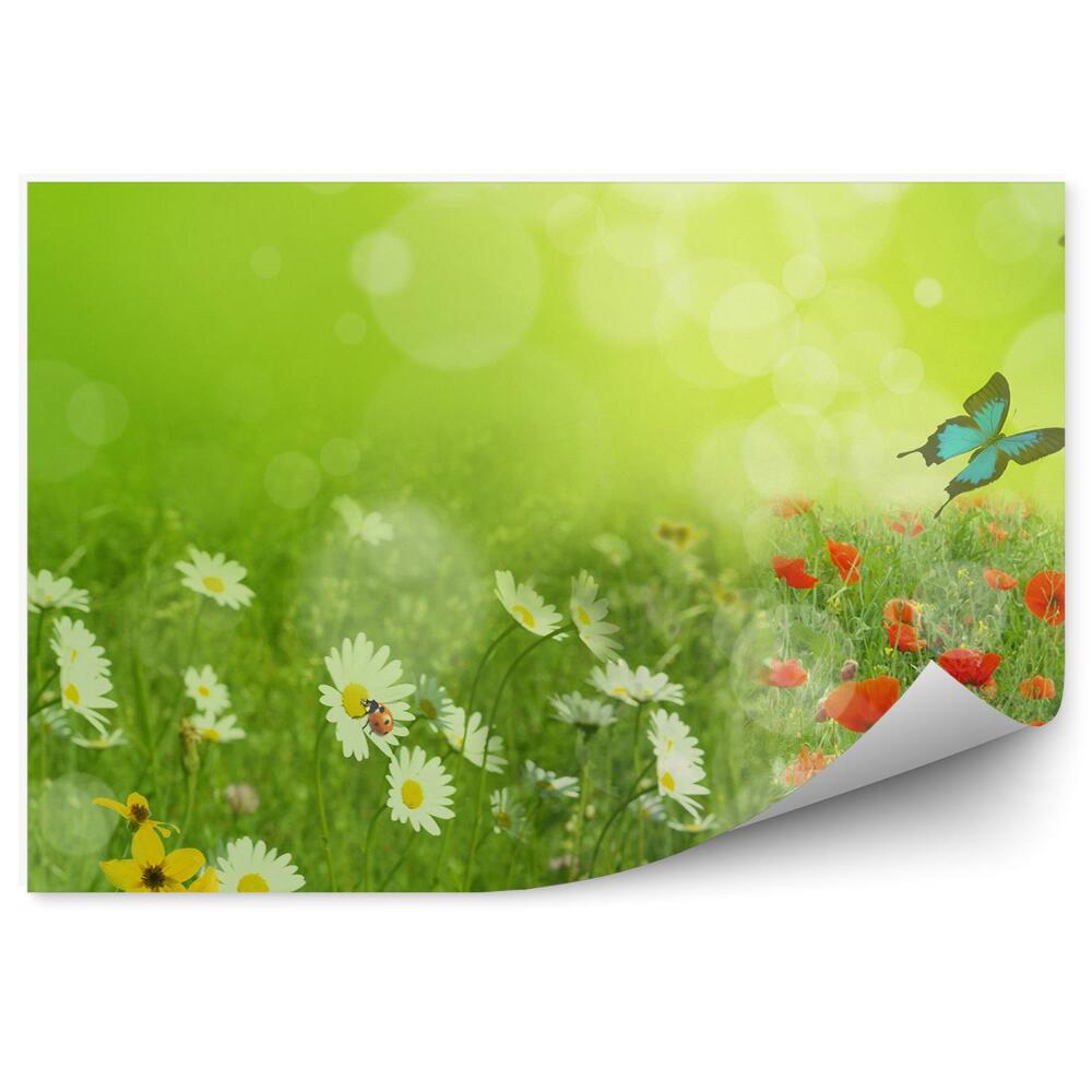 Okleina ścienna Wiosenna łąka motyle biedronka kwiaty zieleń
