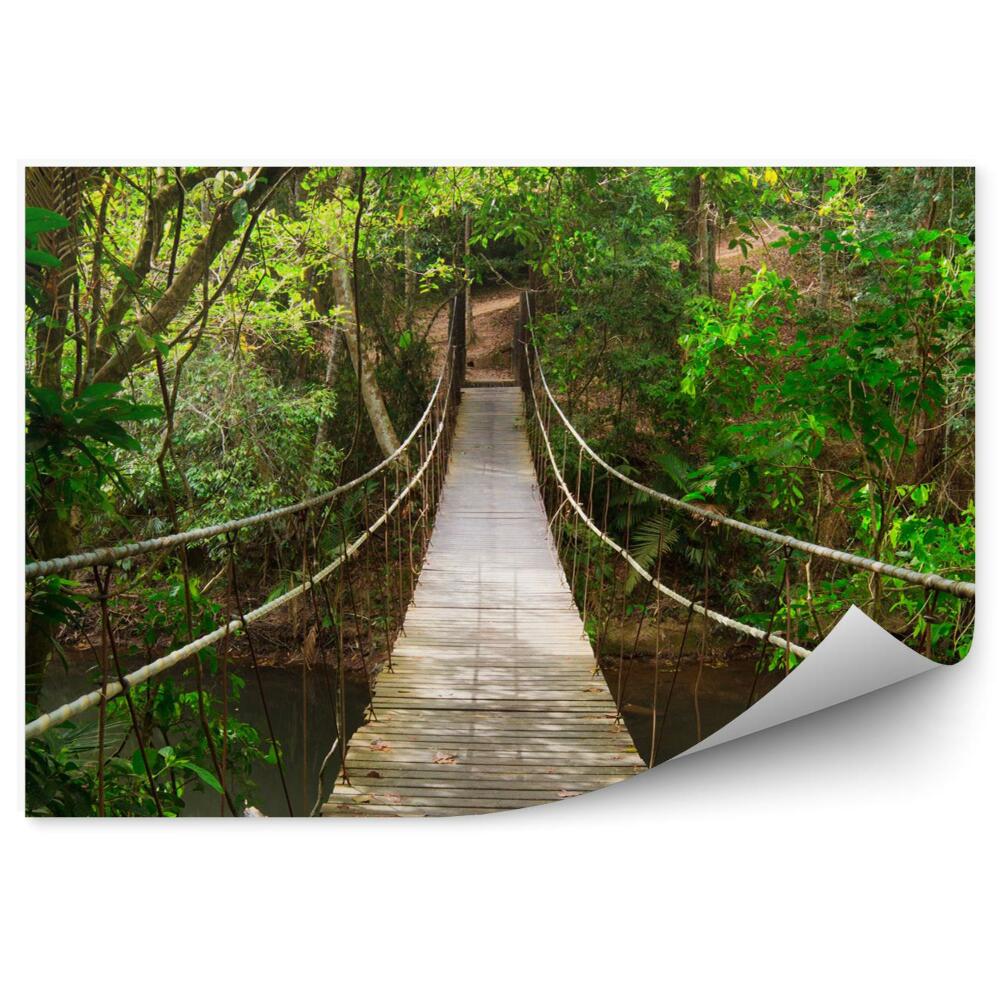 Fototapeta Most do dżungli park narodowy tajlandia