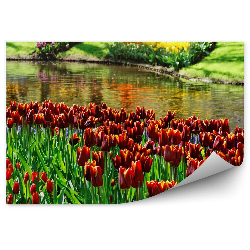 Fototapeta na ścianę Kolorowe tulipany
