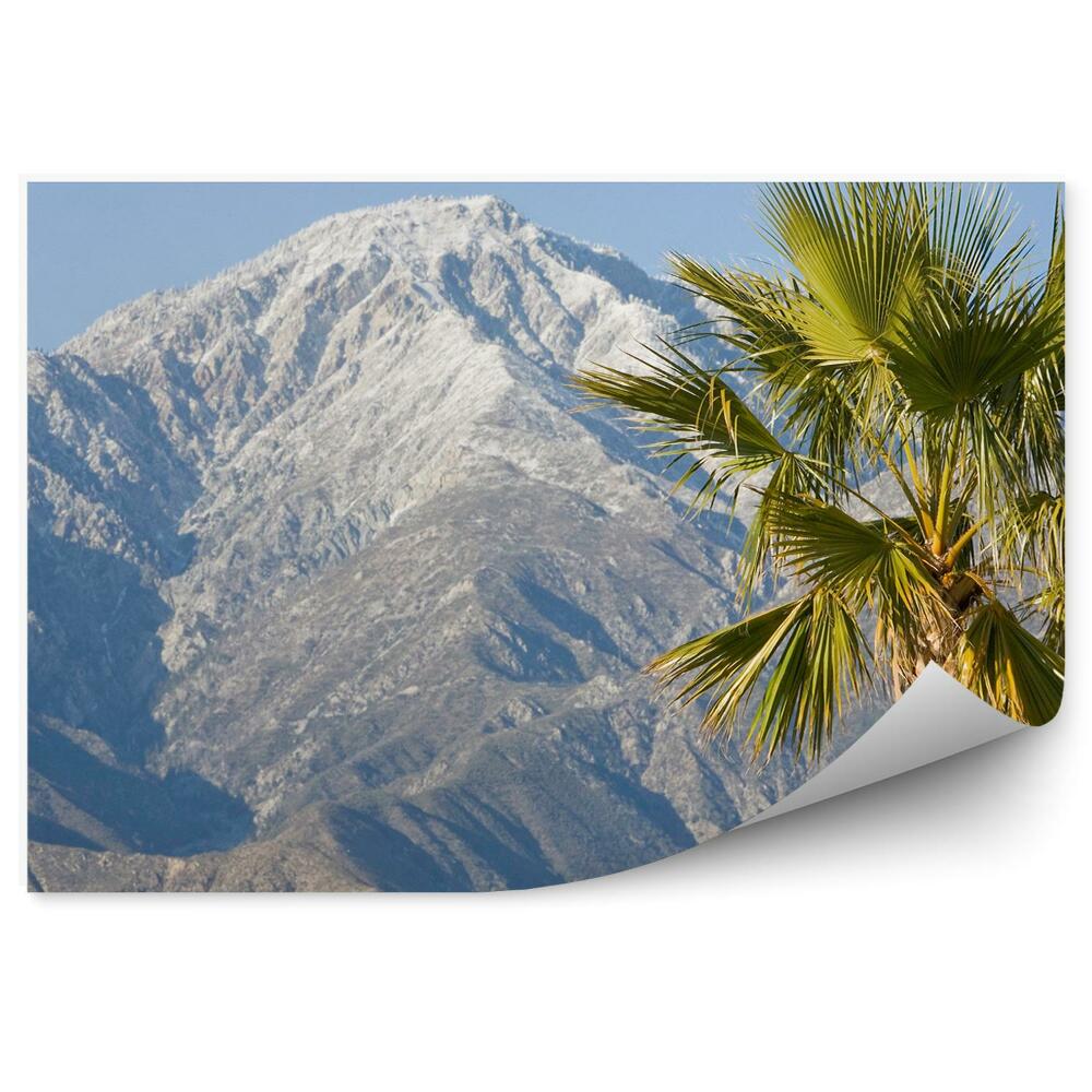 Fototapeta na ścianę Palma na tle ośnieżonego szczytu