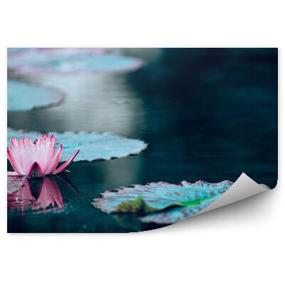 Okleina ścienna Ciemny staw i kwiat lotosu