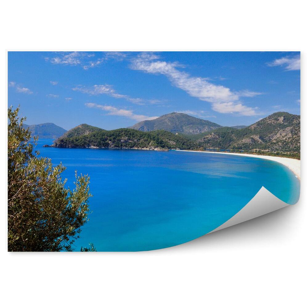Fototapeta Biała plaża góry drzewa krzaki niebo chmury ocean