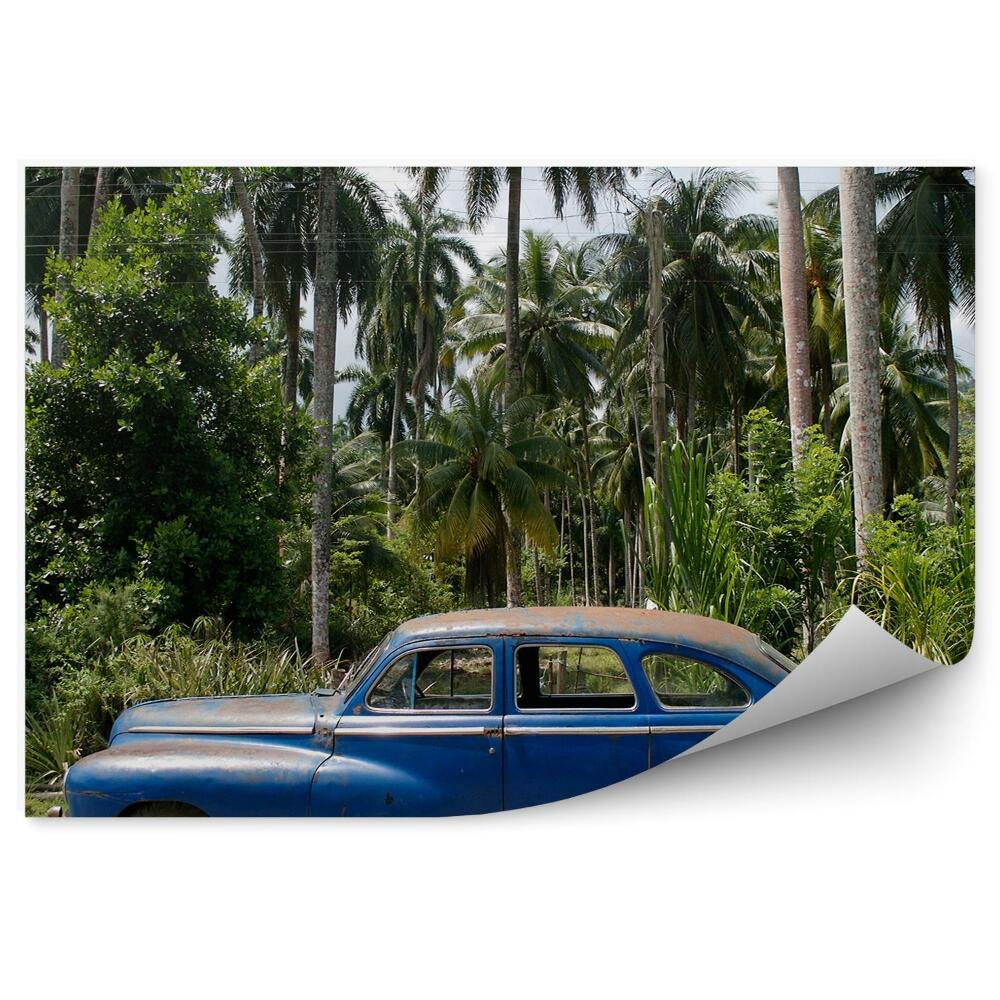 Okleina ścienna Kuba roślinność palmy samochód zabytkowy