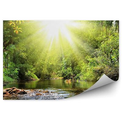 Okleina ścienna Las rzeka natura roślinność tajlandia