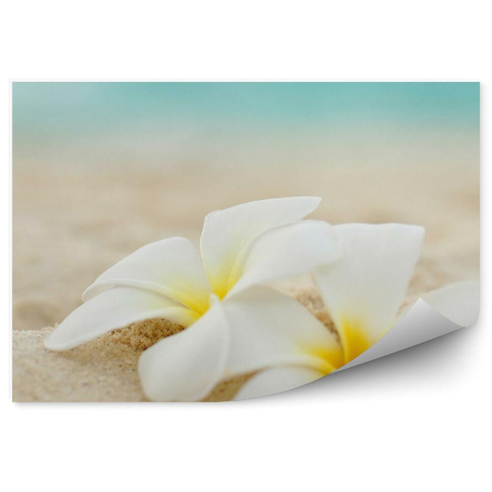 Okleina ścienna Biało - żółte kwiaty plażą