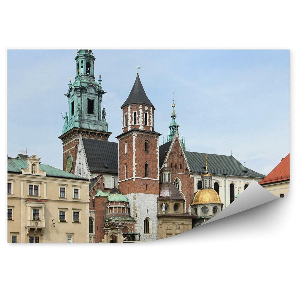 Fototapeta na ścianę zamek Królewski drzewa trawa skały Kraków niebo
