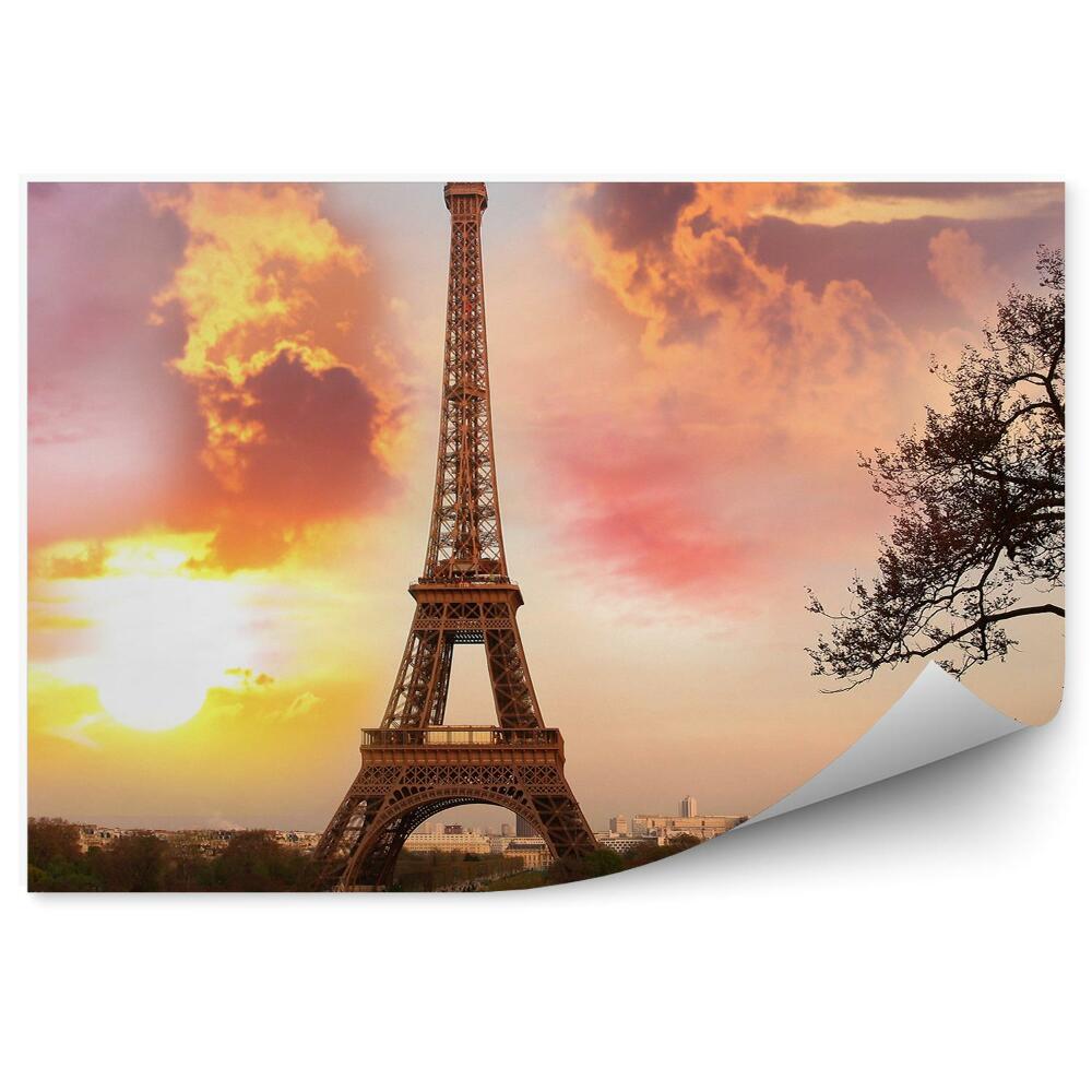 Fototapeta samoprzylepna Paryż wieża eiffla park chmury