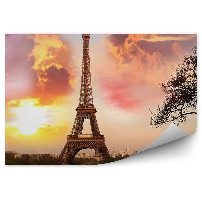 Fototapeta samoprzylepna Paryż wieża eiffla park chmury