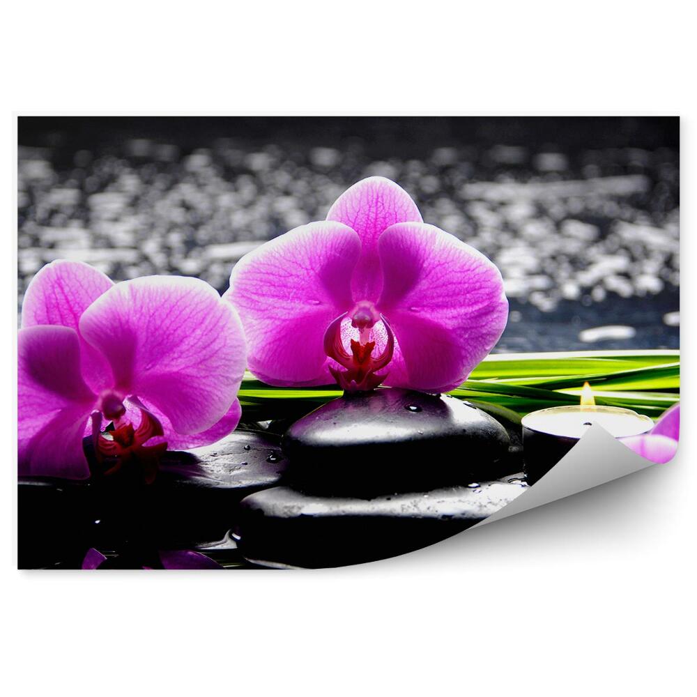 Fototapeta na ścianę Różowe kwiaty orchidei kamienie świeczki woda