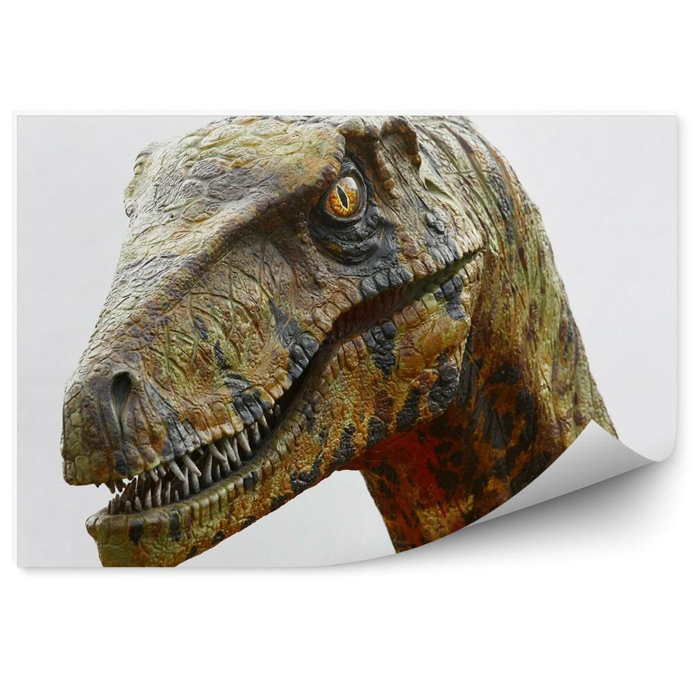 Fototapeta Głowa dinozaura na białym tle