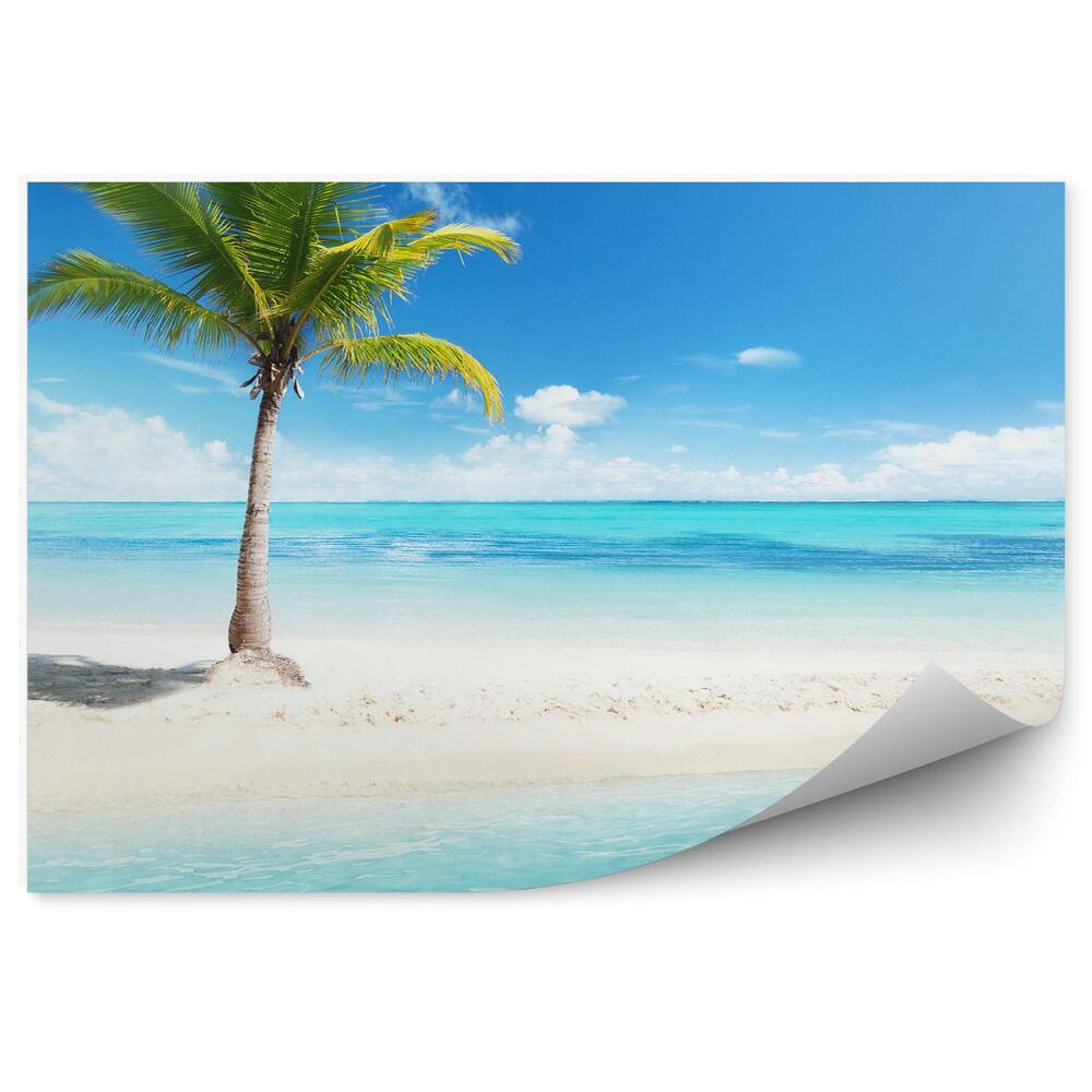 Fototapeta na ścianę Samotna palma na plaży błękitna woda