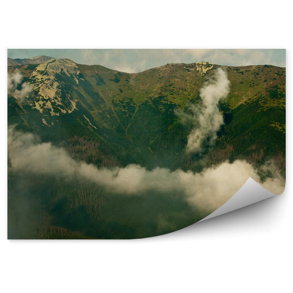 Okleina na ścianę Góry zieleń niebo chmury tatry