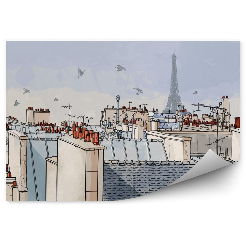 Fototapeta Paris france - dachy paryż francja