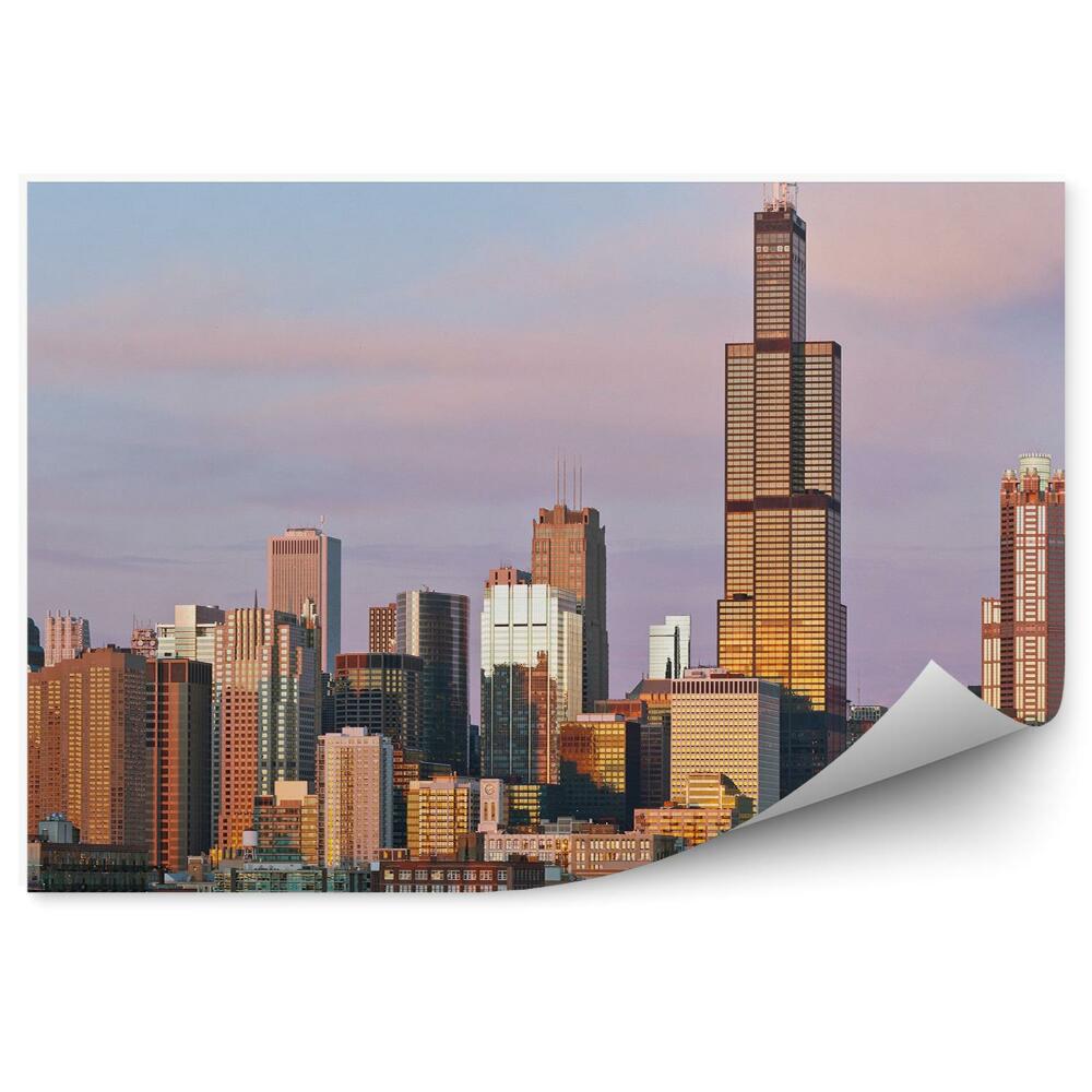 Fototapeta na ścianę Chicago wieżowce drzewa chmury