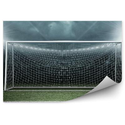 Fototapeta samoprzylepna Bramka murawa noc