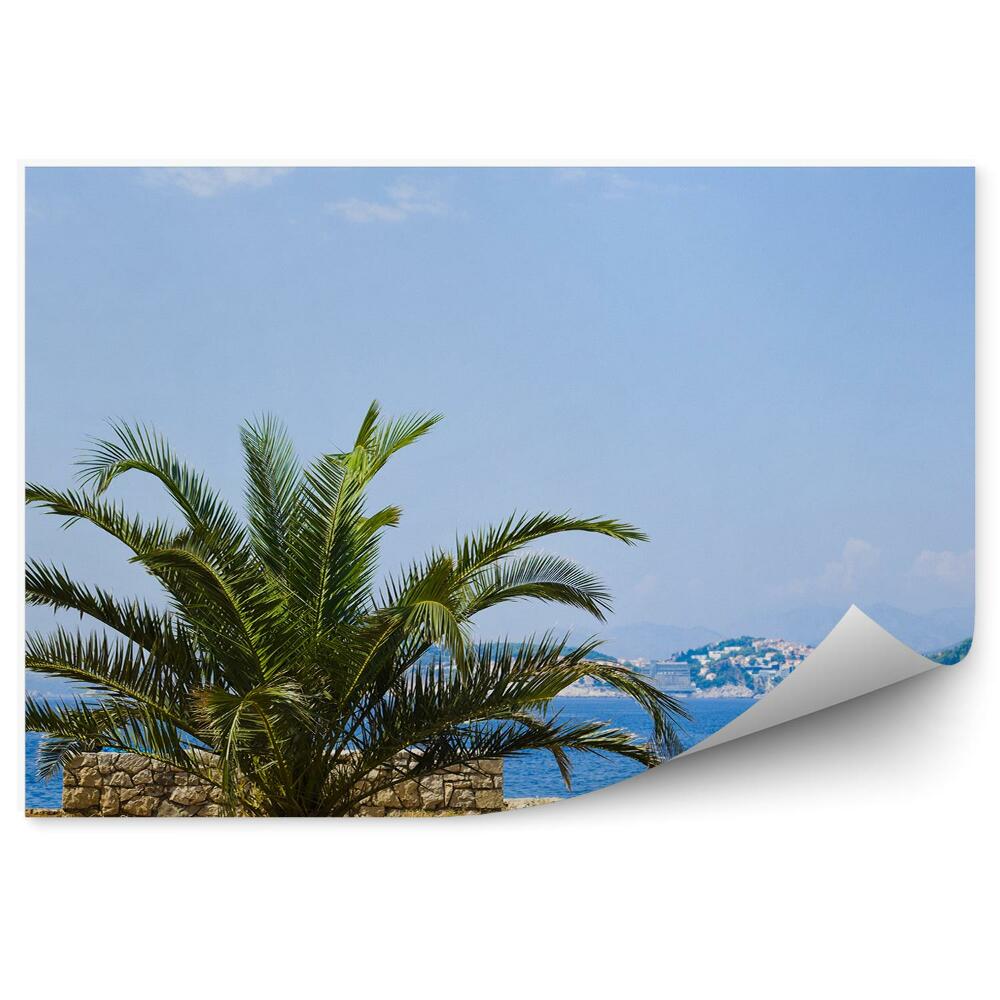 Fototapeta Leżaki plaża woda skały palma