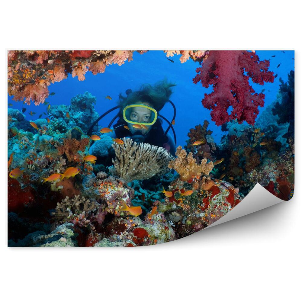 Okleina ścienna Kobieta płetwonurek koralowce podwodny świat
