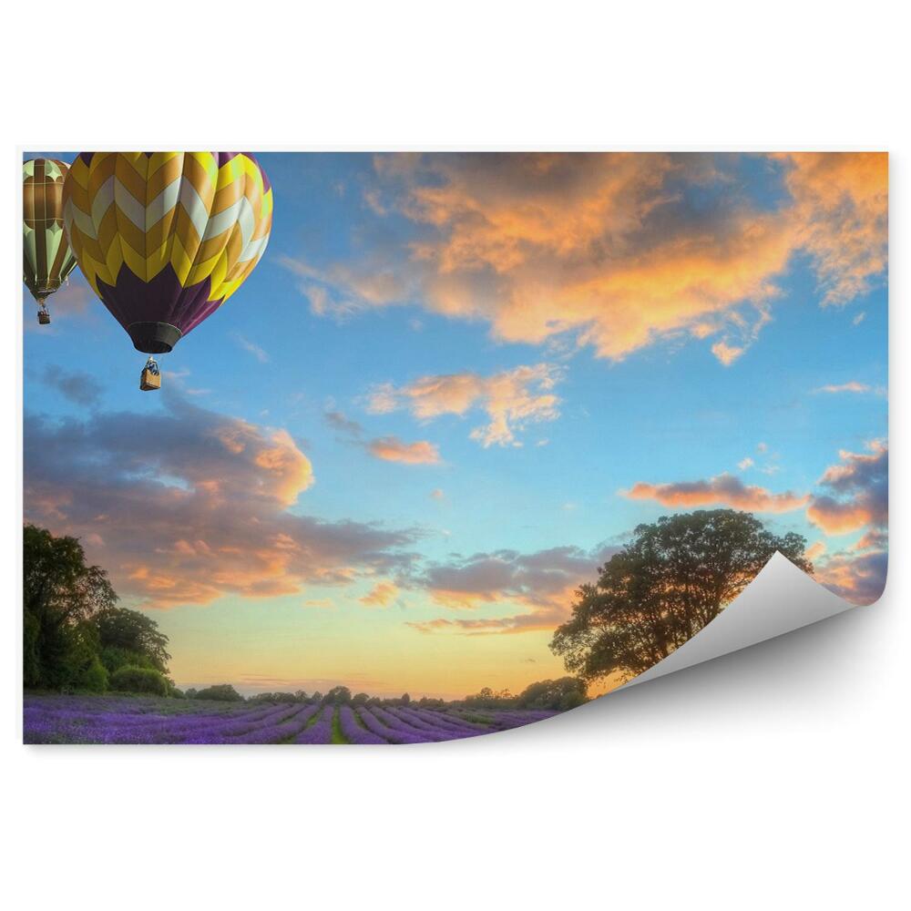 Fototapeta na ścianę Balony pole lawendy drzewa chmury niebo zachód słońca