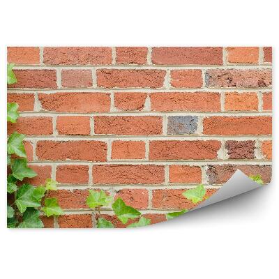 Okleina ścienna Bluszcz ceglany mur