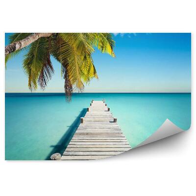 Fototapeta Plaża kokosowa