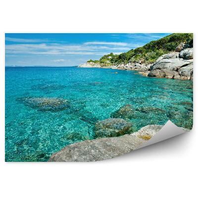 Fototapeta Wyspa elba plaża skały drzewa natura