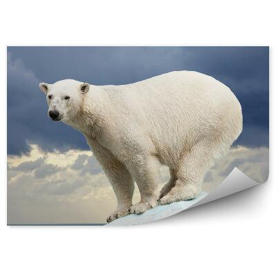 Okleina ścienna Niedźwiedź polarny na tle ciemnego nieba