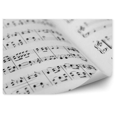 Fototapeta nuty klucz wiolinowy pięciolinia