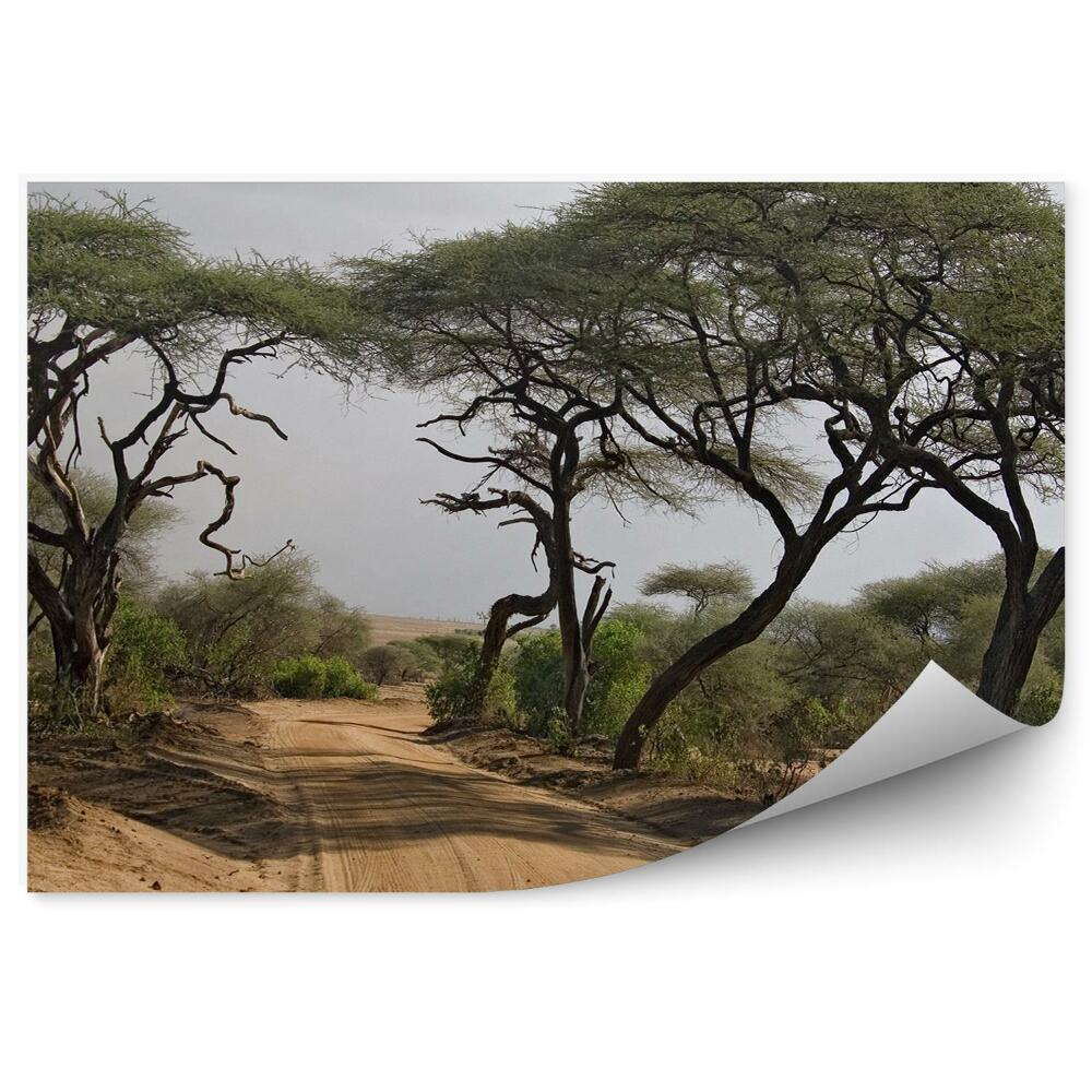 Okleina ścienna Drzewa droga pustynia góry krajobraz niebo chmury afryka