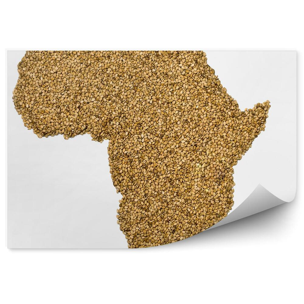 Fototapeta na ścianę Mapa afryka kontur