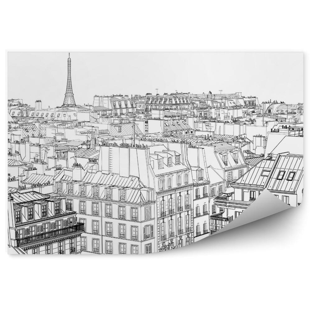 Fototapeta Dachy w paryżu francja