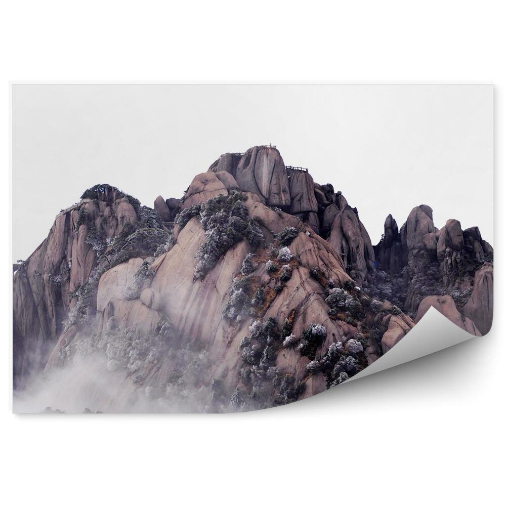 Okleina ścienna Góry skaliste rośliny mgła