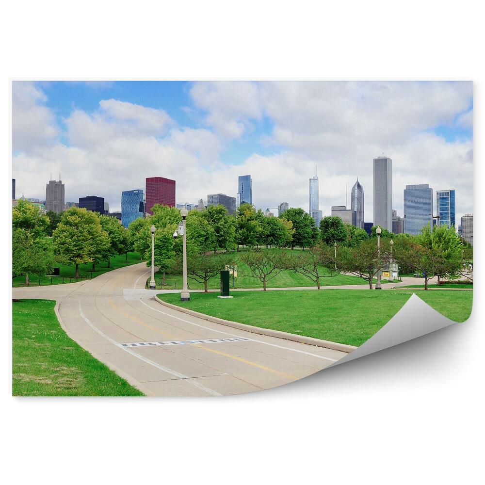 Fototapeta na ścianę Chicago wieżowce drzewa chmury droga trawa