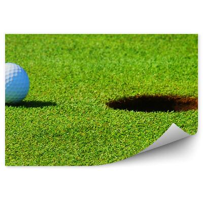 Fototapeta samoprzylepna Dołek piłka golfowa