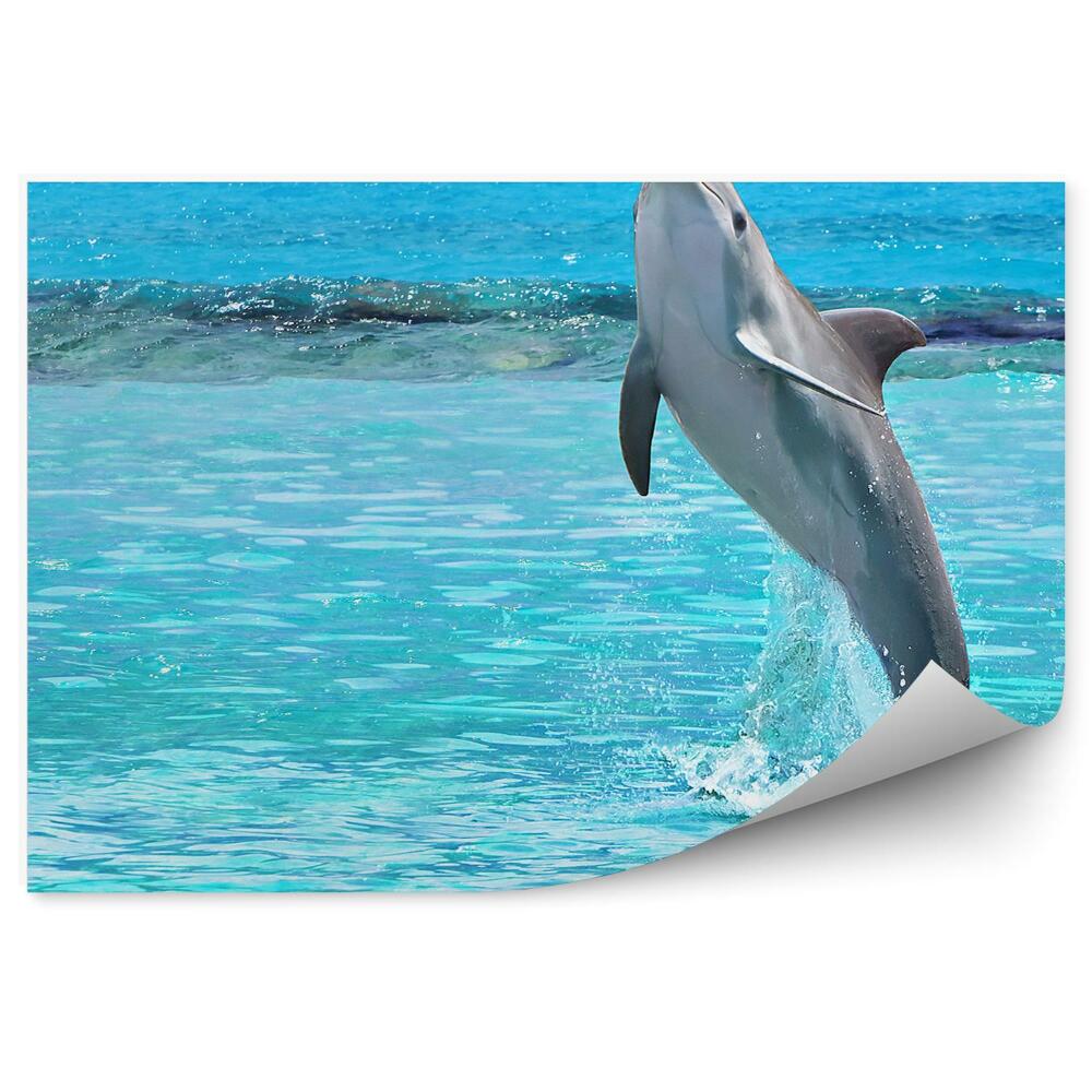 Fototapeta na ścianę skaczący delfin morze Karaibskie