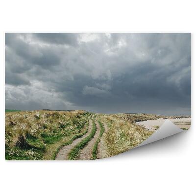 Fototapeta na ścianę Ścieżka trawy pochmurne niebo