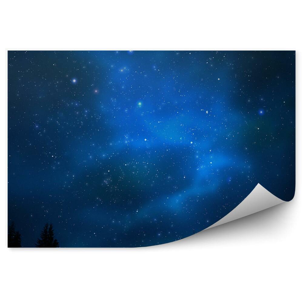 Fototapeta Wszechświat niebo pełne gwiazd mgławice galaktyka drzewa iglaste noc