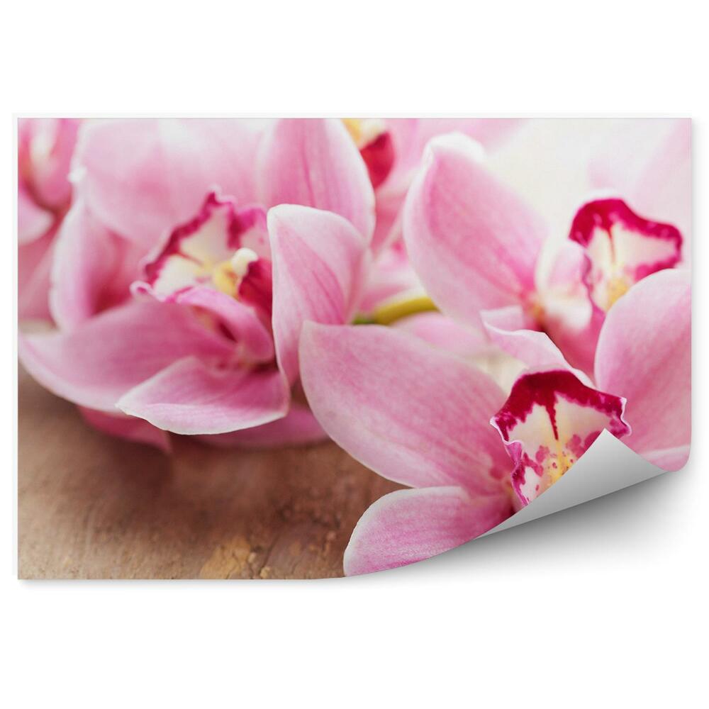 Fototapeta na ścianę Różowe kwiaty orchidei