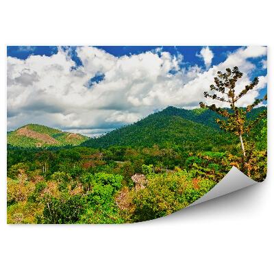 Okleina ścienna Tropikalne góry doliny natura roślinność zieleń