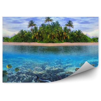 Fototapeta Morskie życie tropikalnej wyspy malediwy