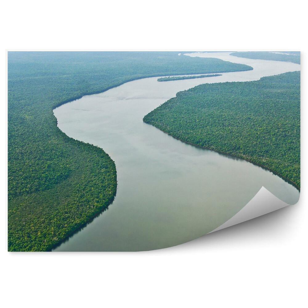Okleina na ścianę rzeka Amazonka dżungla drzewa
