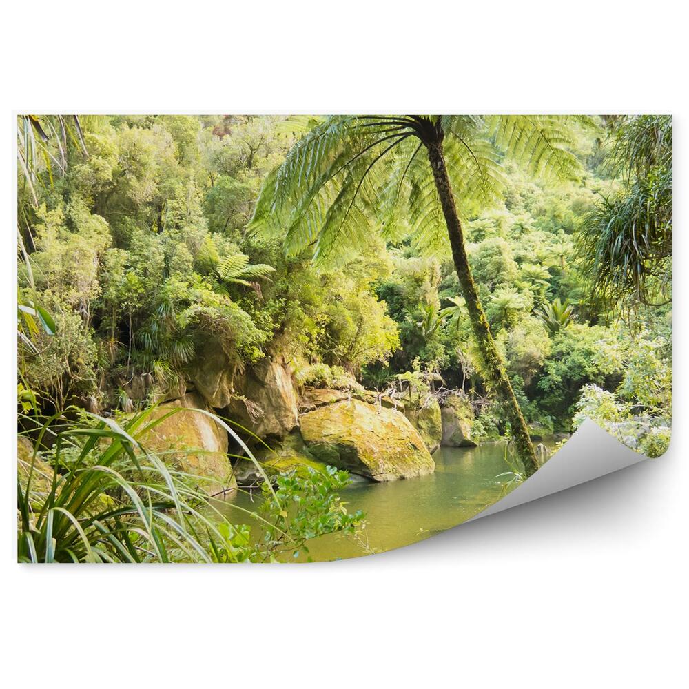 Okleina ścienna Las tropikalny jeziorko palmy