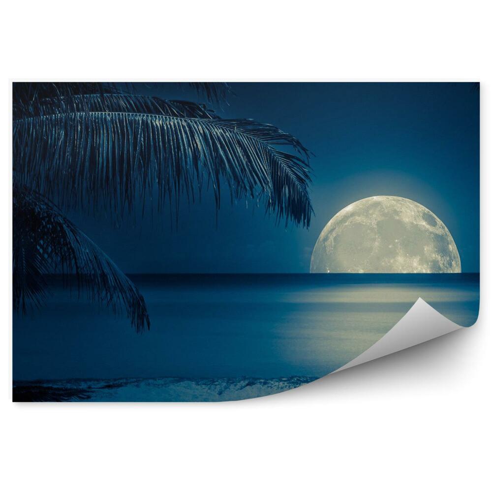 Fototapeta Noc i księżyc na tropikalnej plaży
