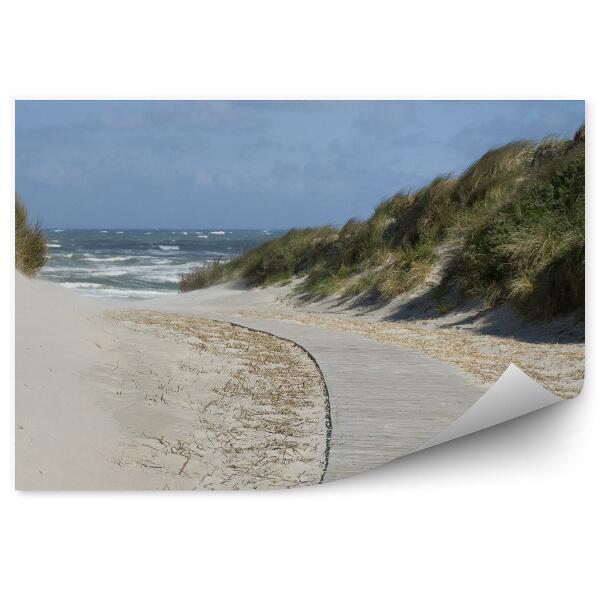 Fototapeta Pomost plaża trawy ocean niebo chmury